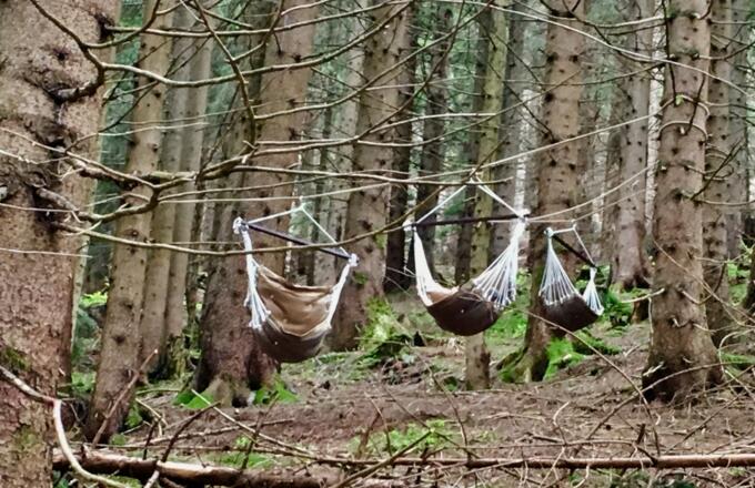 Aktive u. Meditavive WaldWellness