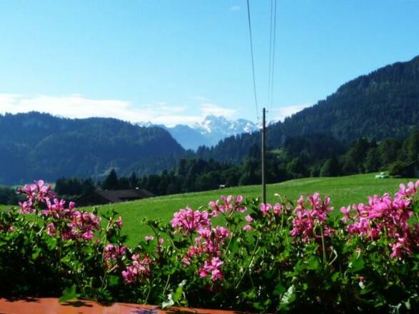 Ausicht Albenrose Edelweis