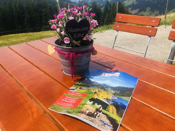 Was besonderes für unsere Gäste, das Barbaras Wan