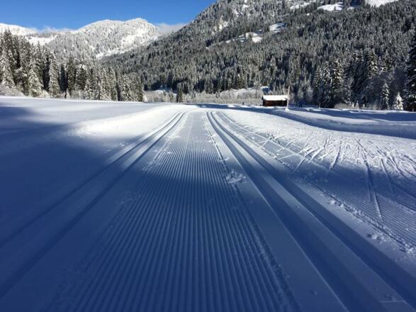 Hoteleigene Skilanglaufschule Olympia
