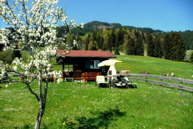 Liegewiese mit Gartenhaus
