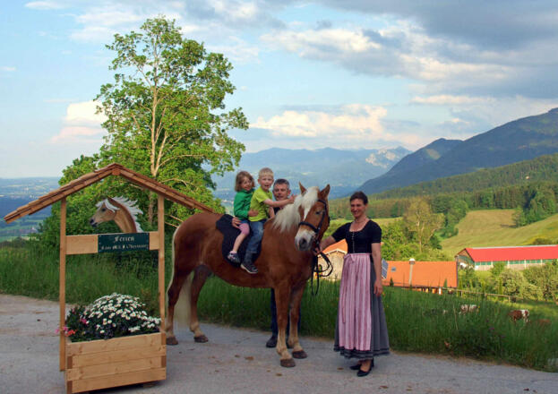 Ziel erreicht, herzlich willkommen im Ferienhaus Stipfing