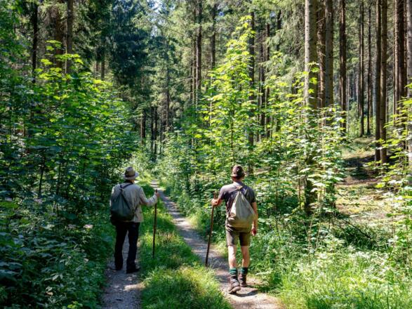 Waldschule Almtal auf dem richtigen Pfad