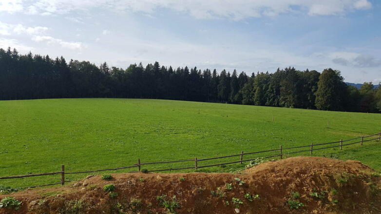 Aussicht nach Süd-West