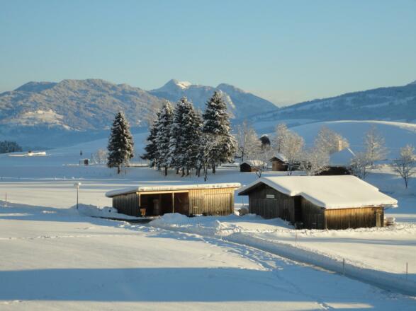 Bolsterlang im Winter