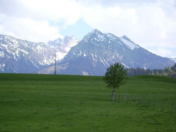Balkonaussicht zum Nebelhorn