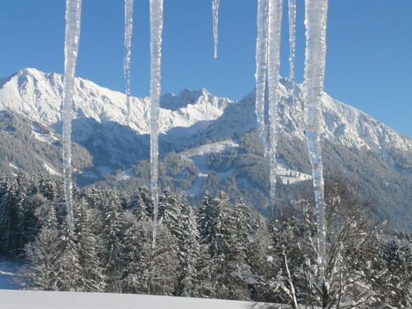 Blick auf die Oberstdorfer Berge