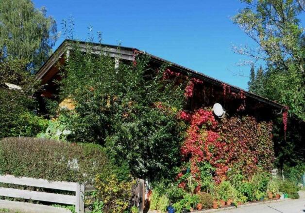 Blick auf die FeWo-Südseite im Herbst