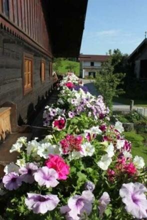 blumengeschmückter Balkon mit Bergblick