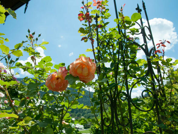 Ferienwohnung Haus Pletscherer sonnig und ruhig gelegen mit freiem Bergblick