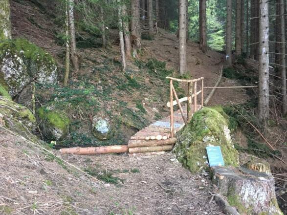 Hoteleigener WellnessWald