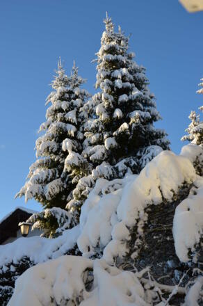 Winterraum auf dem Grundstück