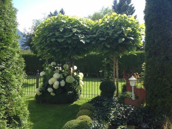 Mit Liebe zum Detail