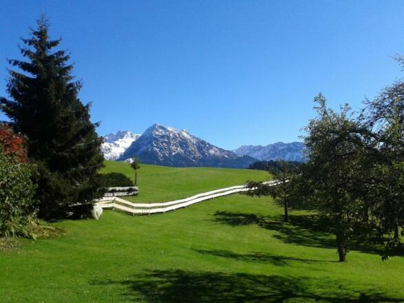 Balkonausblick im Sommer