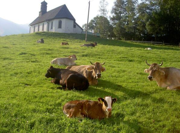 Ruhe und Frieden strahlt das Bild aus