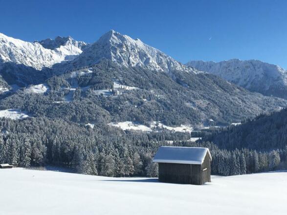 PHOTO-2021-02-04-16-42-01