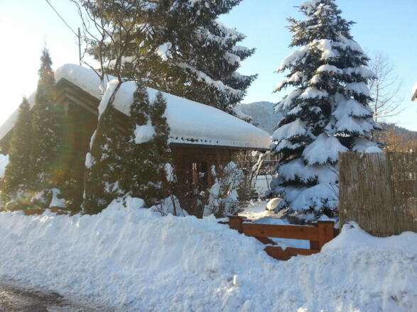 unser Garten im Winter