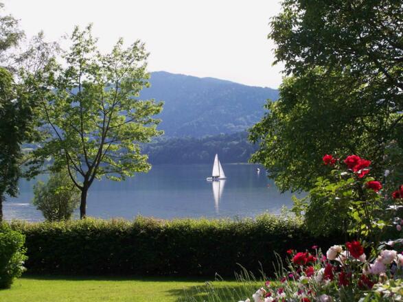 Blick von der Terrasse