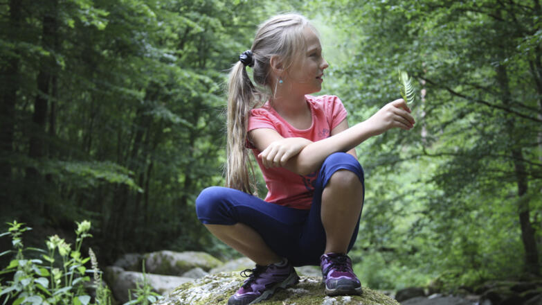 Pesenbachtal_Oberoesterreich-Tourismus-GmbH_Martin-Fickert (5)_web