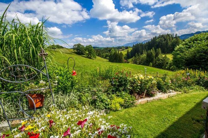 Toller Garten mit vielen Blumen