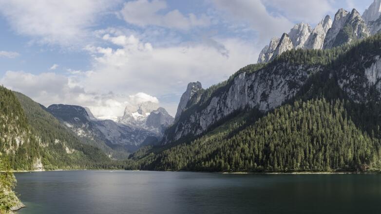 Gosausee mit Dachsteinblick