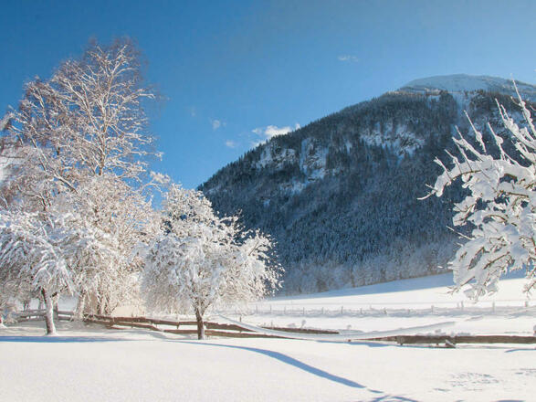 Ferienwohnungen Festlhof in Rottach-Egern am Tegernsee