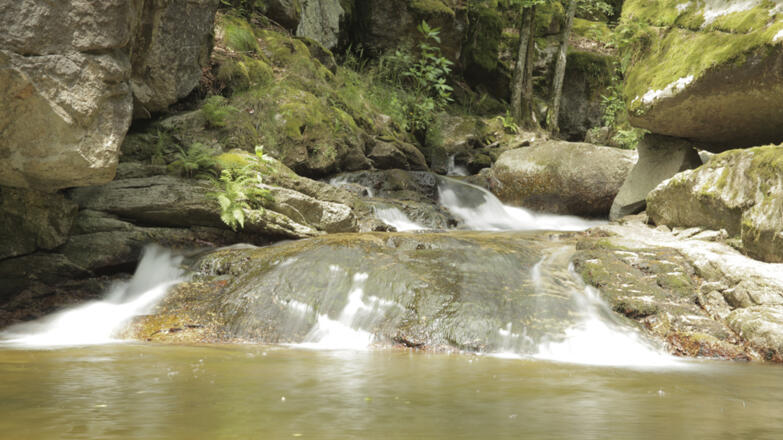 Pesenbachtal_Oberoesterreich-Tourismus-GmbH_Martin-Fickert (1)_web