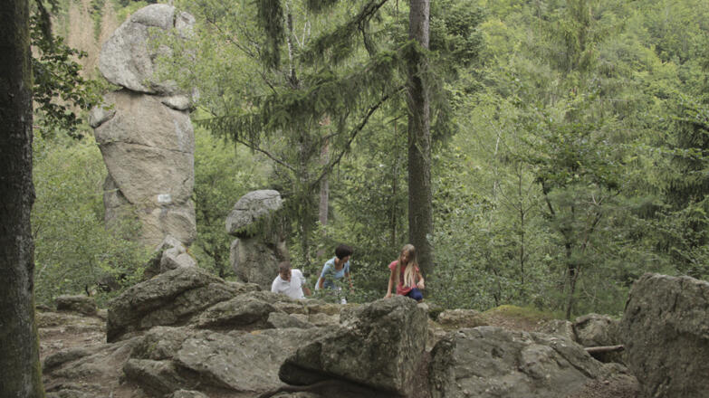 Pesenbachtal_Oberoesterreich-Tourismus-GmbH_Martin-Fickert (8)_web