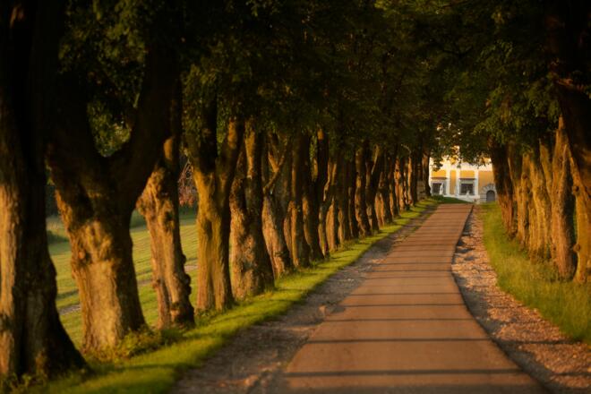 Zufahrt zum Golfclub