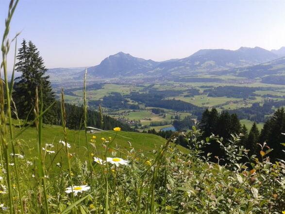 Wandern in Fischen mit Blick auf den Grünten