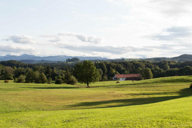 Spaziergang in Hackling