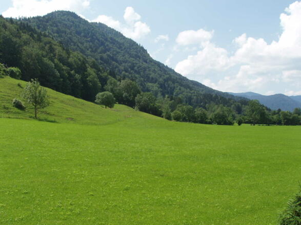 Ihre Aussicht von der Terrasse