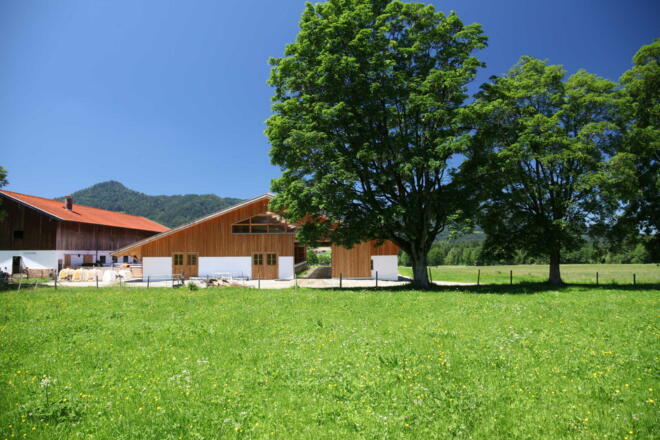 nur das Beste/Neuste für unsere Kühe