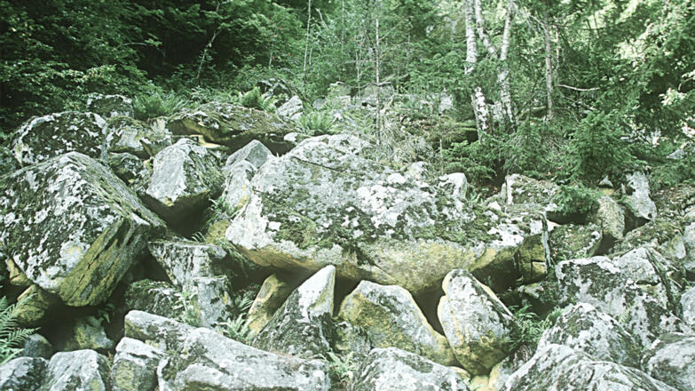 Hangwälder im Tal der Großen Mühl