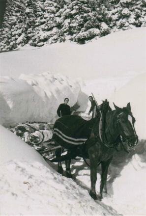 Holzarbeiten Anno 1950