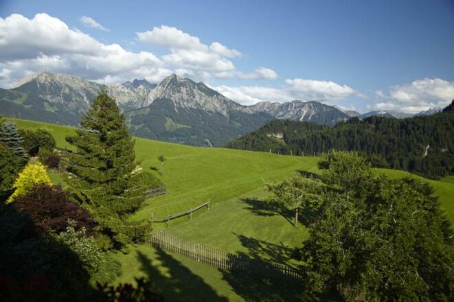 Balkonaussicht aller Ferienwohnungen (Sommer)