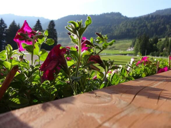 Abendsonne FEWO " Spicher"