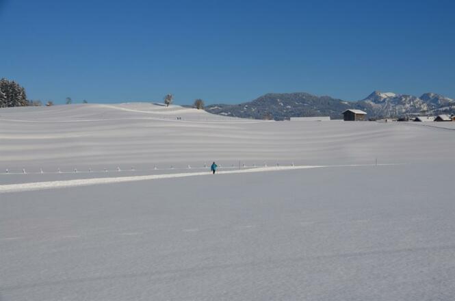Winterlandschaft Langlauf
