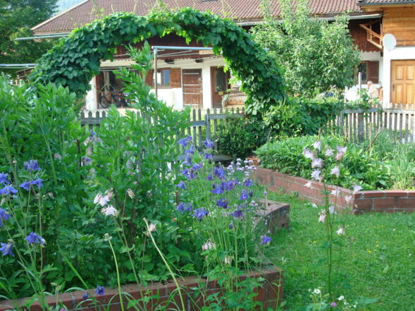 Mein Bauerngarten