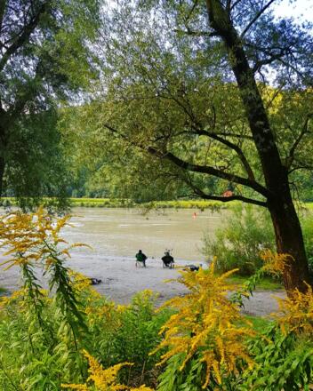 Angeln an der Donau