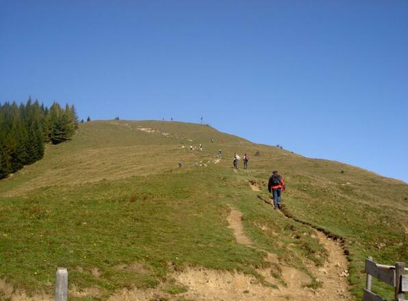 Die Aussicht vom Ofterschwanger Horn