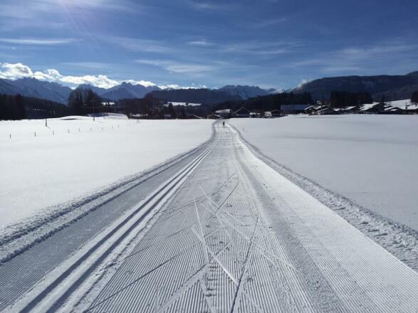 Loipe Ofterschwang nach Bolsterlang