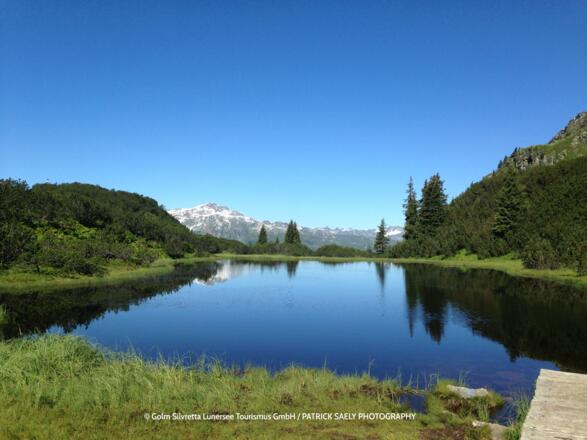Wiegensee Biehlerhöhe