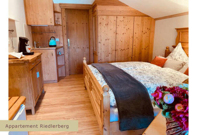 Appartement Riedlerberg (Kochnische)