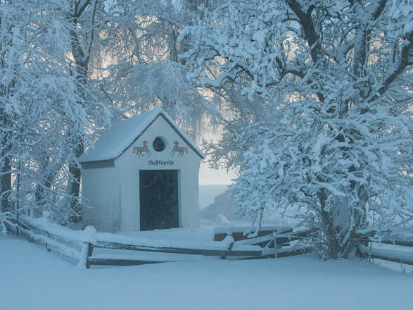 Ferienwohnungen Festlhof in Rottach-Egern am Tegernsee