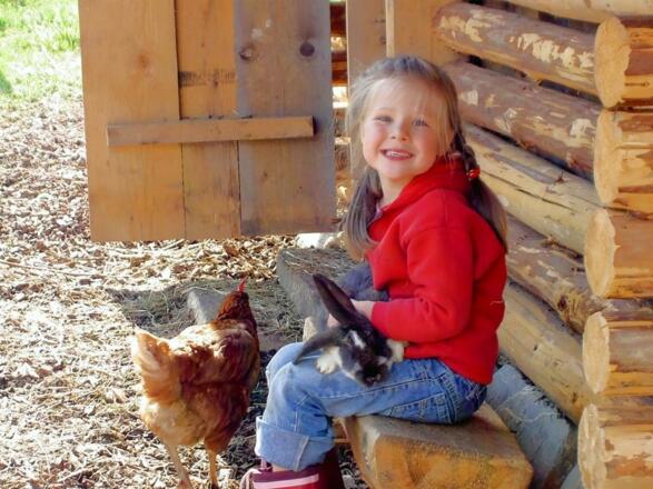 Kind bei den Kleintieren