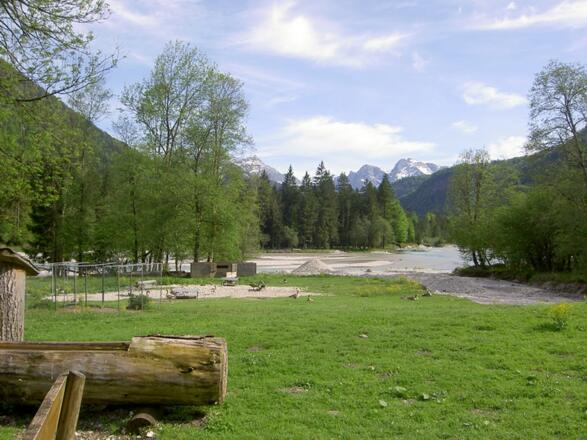 Konrad-Lorenz-Forschungsstelle