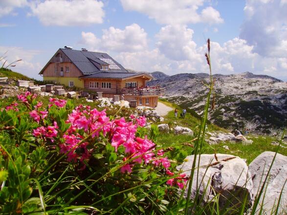 Hausansicht der Lodge im Sommer