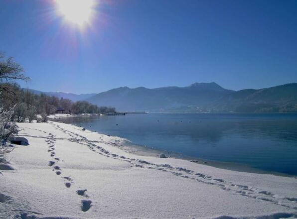Spuren im Schnee am See