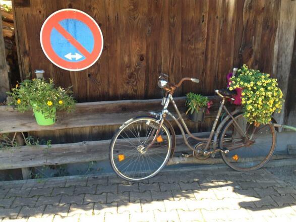 Pension Tannenhof - Umgebung